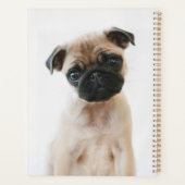 Baby Pug Portret Planner (Achterkant)