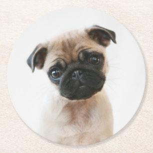Baby Pug Portret Ronde Kartonnen Onderzetter