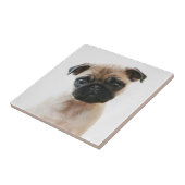 Baby Pug Portret Tegeltje (Zijkant)