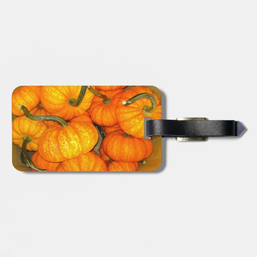 Baby Pumpkin-Bagagelabel Bagagelabel (Achterkant horizontaal)