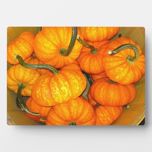 Baby Pumpkin Photo Plaque Fotoplaat (voorkant)