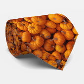 Baby Pumpkins Oranje Gourds Herfst Autumn Man Stro Stropdas (Opgerold)