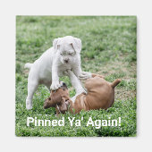 Baby Puppies Magneet (Voorkant)