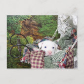 Baby Puppy Carriage Ride Briefkaart (Voorkant)