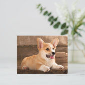 Baby Puppy Corgi Briefkaart (Staand voorkant)