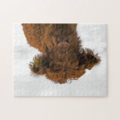 Baby puzzels voor de koe van het hoogland (Horizontaal)