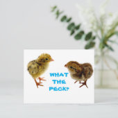 Baby Quail Chick Briefkaart (Staand voorkant)