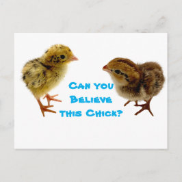 Baby Quail Chick Briefkaart