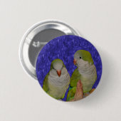Baby Quaker Parrot Pair Animal Button (Voorkant /achterkant)