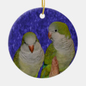 Baby Quaker Parrot Pair Bird Ornament (Voorkant)