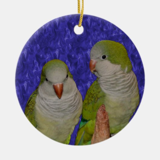 Baby Quaker Parrot Pair Bird Ornament (Voorkant)