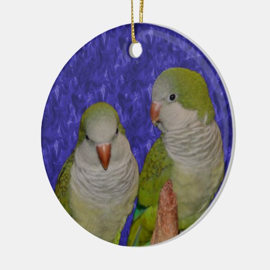 Baby Quaker Parrot Pair Bird Ornament (Links)