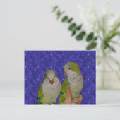 Baby Quaker Parrot Pair Dierlijk Briefkaart (Staand voorkant)