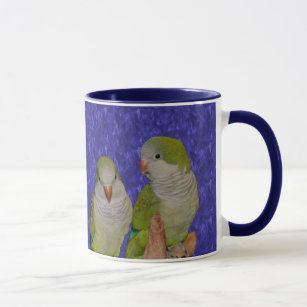 Baby Quaker Parrots Animal Mok