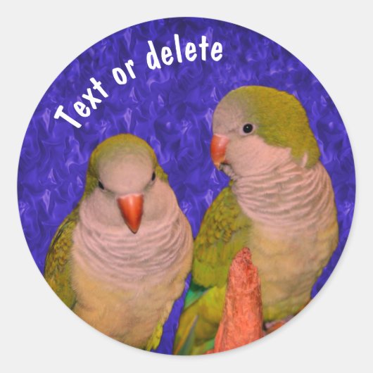 Baby Quaker Parrots Animal Speciaal Ronde Sticker (Voorkant)