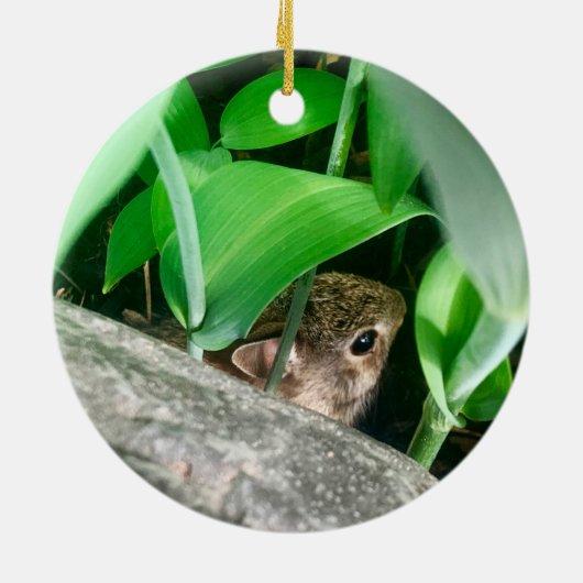 Baby Rabbit Keramisch Ornament (Achterkant)