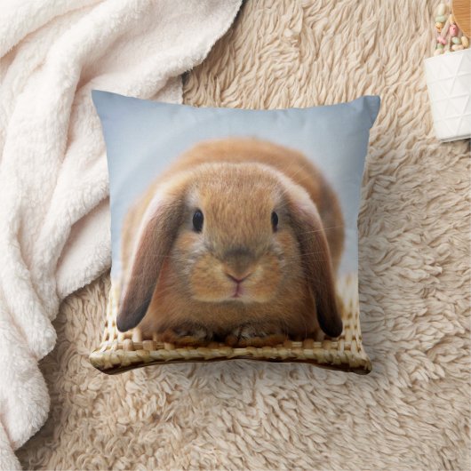 Baby Rabbit Pillow Kussen (Deken)