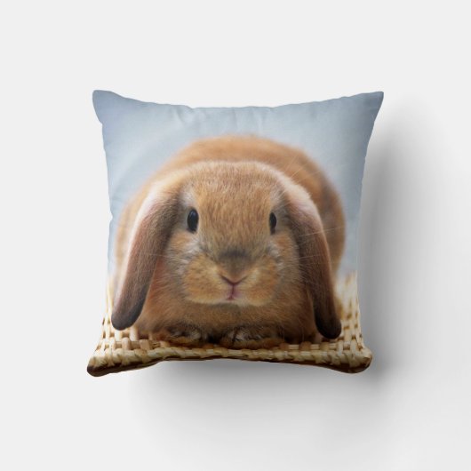 Baby Rabbit Pillow Kussen (Achterkant)