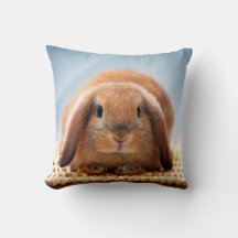 Baby Rabbit Pillow