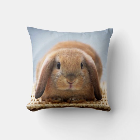 Baby Rabbit Pillow Kussen (Voorkant)