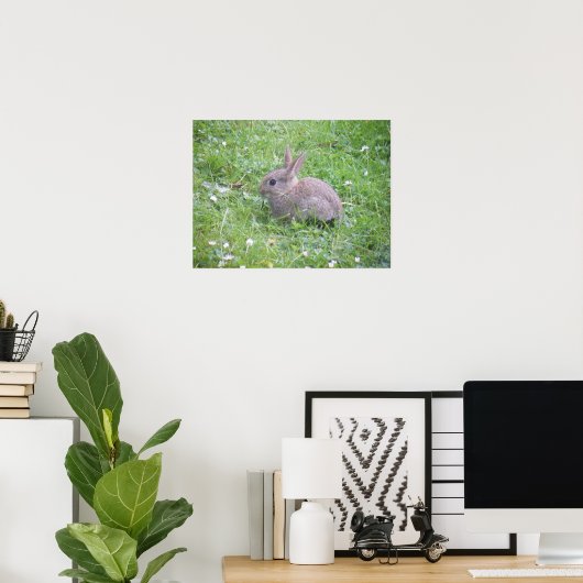 Baby Rabbit Poster (Thuiskantoor)