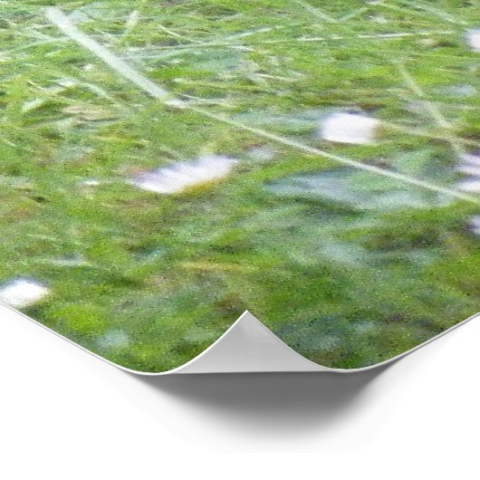 Baby Rabbit Poster (Hoek)