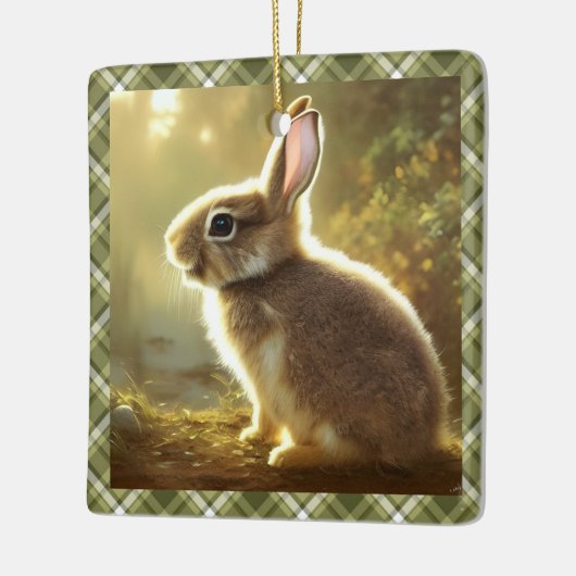 Baby Rabbit Wildlife Portrait Personalized Keramisch Ornament (Links)