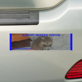 BABY RACCOON BUMPERSTICKER (Op auto)