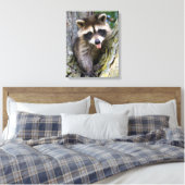 Baby Raccoon Canvas Afdruk (Insitu (Slaapkamer))