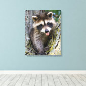 Baby Raccoon Canvas Afdruk (Insitu (Houten vloer))