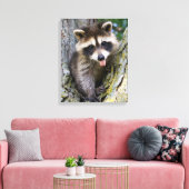 Baby Raccoon Canvas Afdruk (Insitu (Woonkamer))