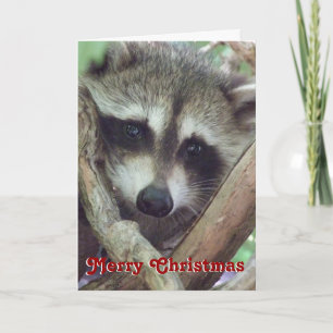 Baby Raccoon Foto, kerstkaart Feestdagen Kaart