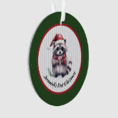 Baby Raccoon Holding Gift Child's First Christmas Ornament (voorkant)