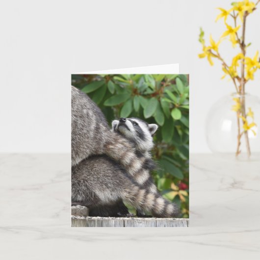 Baby Raccoon Kaart (Gele Bloem)