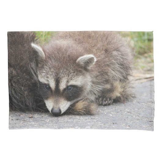Baby Raccoon Kussensloop (Voorkant)