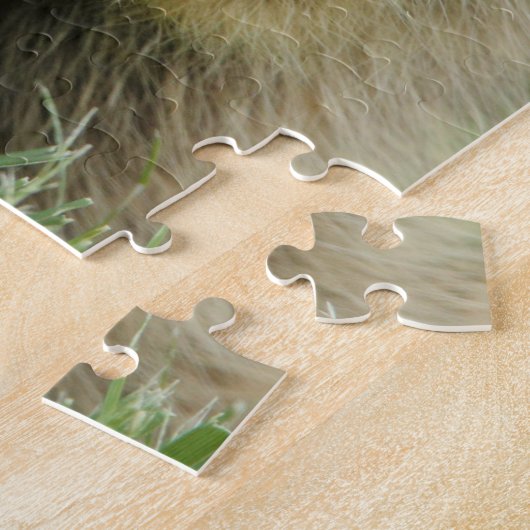 Baby Raccoon Legpuzzel (Zijkant)