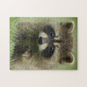 Baby Raccoon Legpuzzel (Horizontaal)