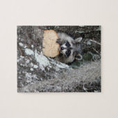 Baby Raccoon Legpuzzel (Horizontaal)