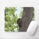 Baby Raccoon Muismat (Met muis)