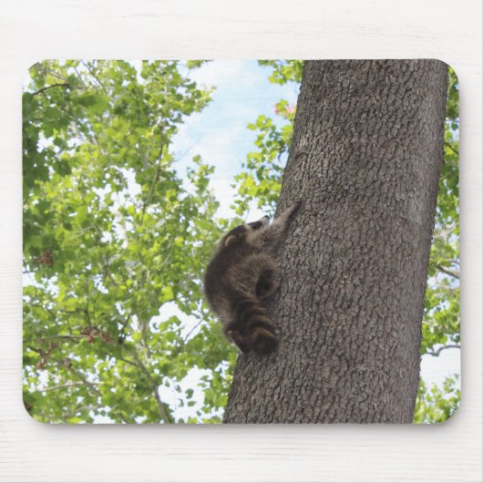 Baby Raccoon Muismat (Voorkant)