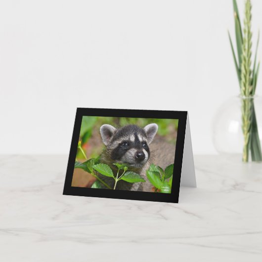Baby Raccoon Notecard Kaart (Voorkant)