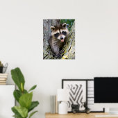 Baby Raccoon Poster (Thuiskantoor)