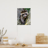 Baby Raccoon Poster (Keuken)