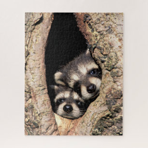 Baby Raccoons die uit de boom springen Legpuzzel