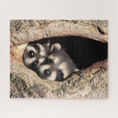 Baby Raccoons die uit de boom springen Legpuzzel (Horizontaal)