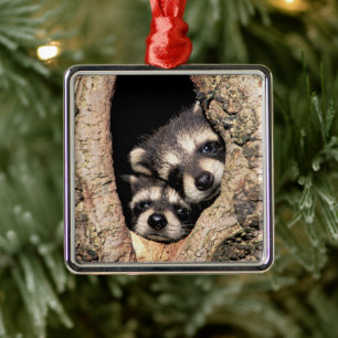 Baby Raccoons die uit de boom springen Metalen Ornament