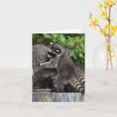Baby Raccoons en mam Kaart (Gele Bloem)