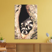Baby Raccoons Peeking out of Tree Canvas Afdruk (Insitu (Woonkamer))