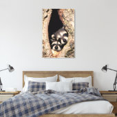 Baby Raccoons Peeking out of Tree Canvas Afdruk (Insitu (Slaapkamer))