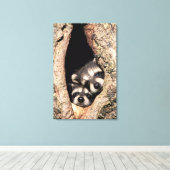 Baby Raccoons Peeking out of Tree Canvas Afdruk (Insitu (Houten vloer))